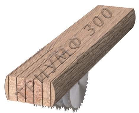 Станок дисковый многопильный Триумф-300