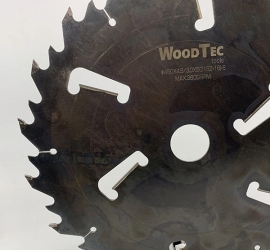 Пила дисковая Ø450 х 50 х 4,6/3,0 Z = (18 + 18) + 6 WoodTec