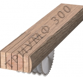 Станок дисковый многопильный Триумф-300