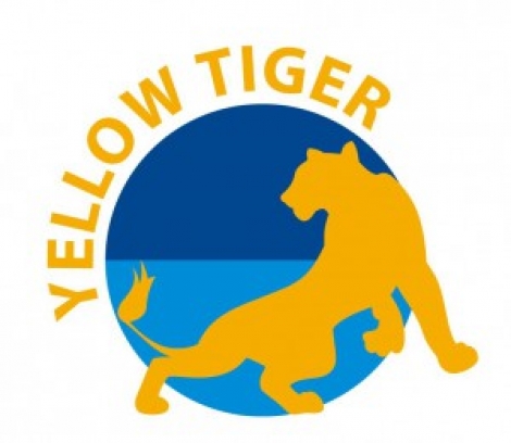Дисковые отрезные фрезы Julia Yellow Tiger Hss-Dmo5